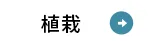 植栽