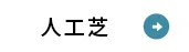 人工芝