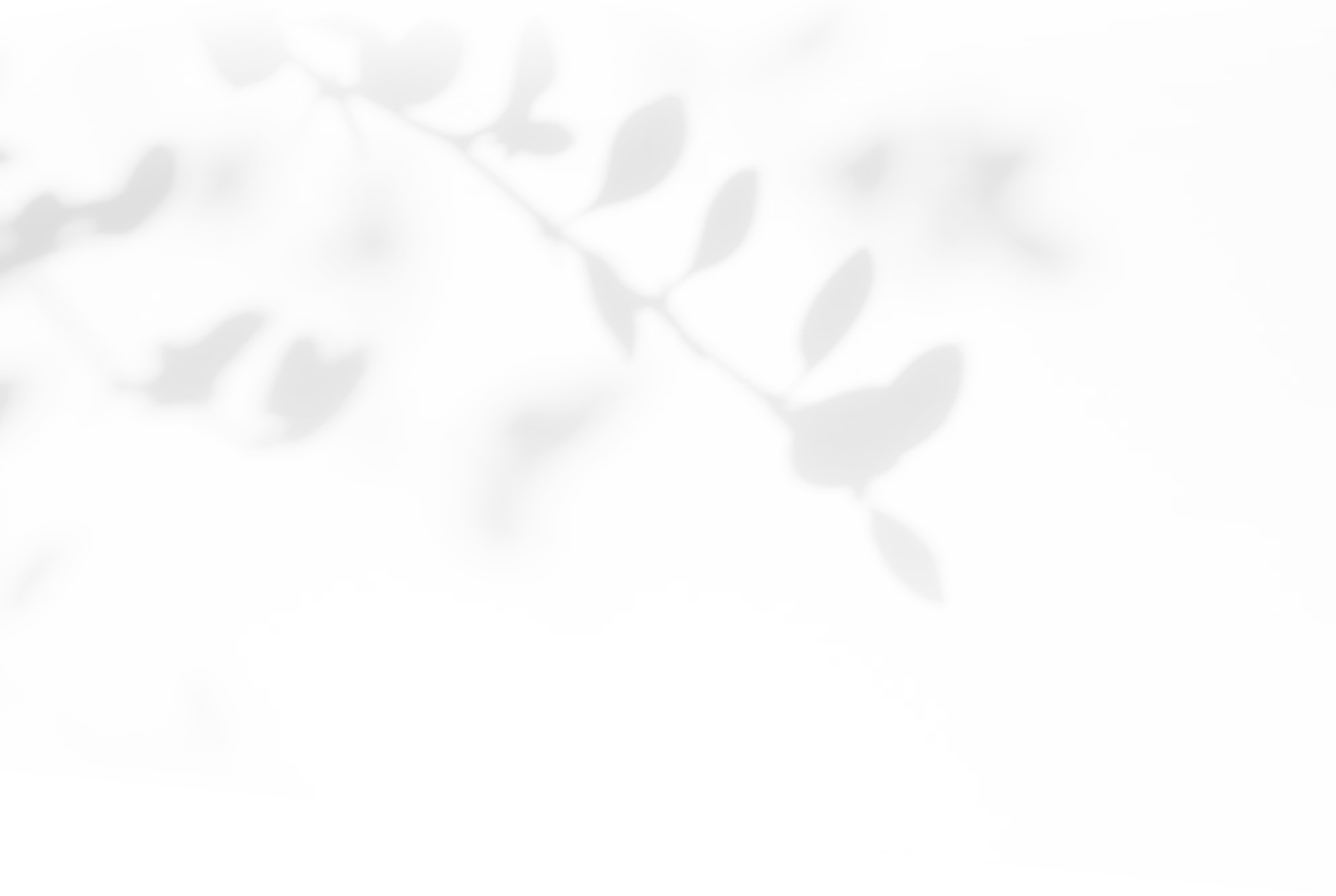 /image/design03_bg.png