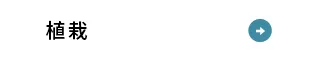 植栽